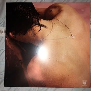 Harry Styles record/vinyl